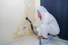 Best Comprehensive Air Testing for Mold Contaminants  in USA